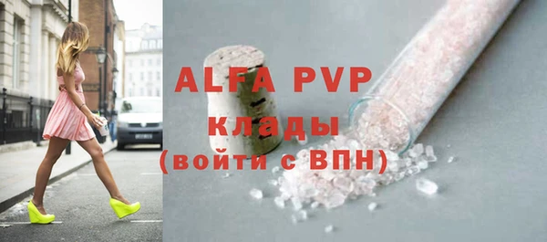 прущие грибы Вязники