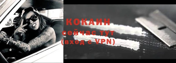 прущая мука Горняк