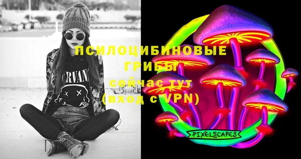 прущая мука Горняк