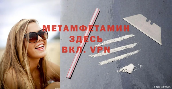 прущие грибы Вязники