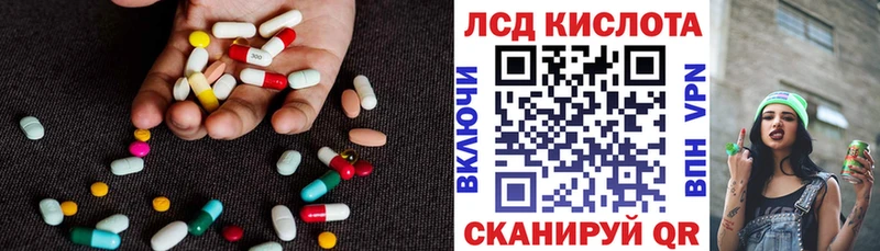 Купить закладки  Ковдор  ЛСД экстази кислота 