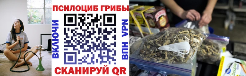 Купить  Ковдор  Галлюциногенные грибы Cubensis 